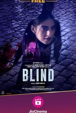电影：盲证印度版