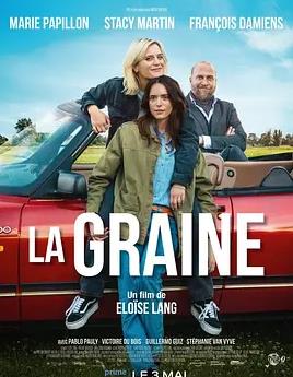 电影：为爱孕狂