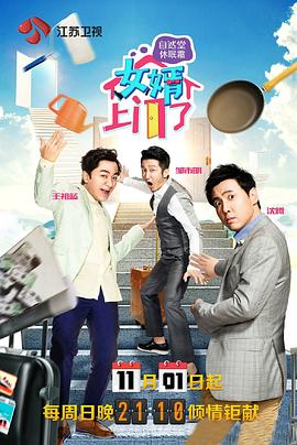 电影：女婿上门了