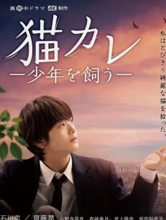 电影:我养了个少年