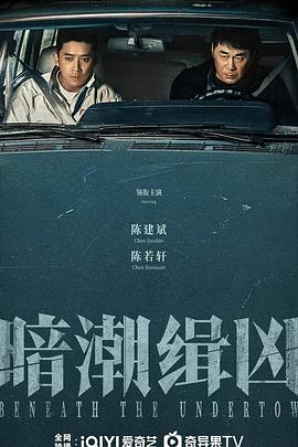 电影：暗潮缉凶