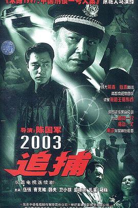 电影:追捕2003