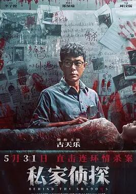 电影：私家侦探