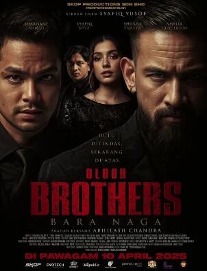 电影：血亲兄弟