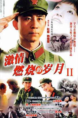 电影：激情燃烧的岁月2