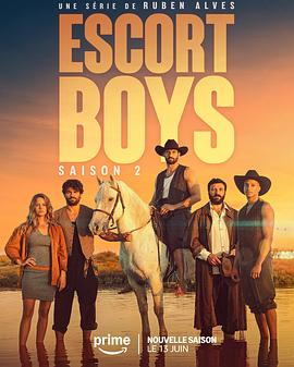 电影:应召男郎第二季