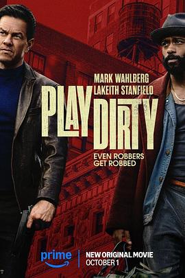 电影：盗亦有道2025