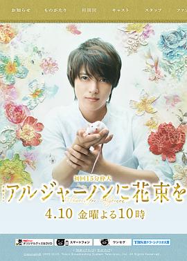 电影：献给阿尔吉侬的花束