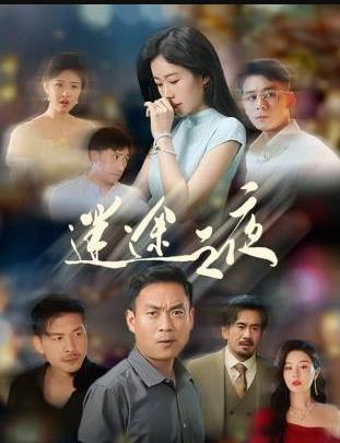 电影：迷途之夜