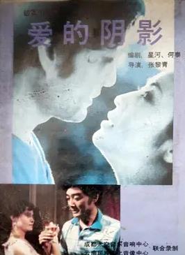 电影：爱的阴影