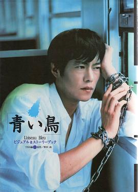 电影：青鸟1997
