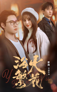 电影：欲火繁花