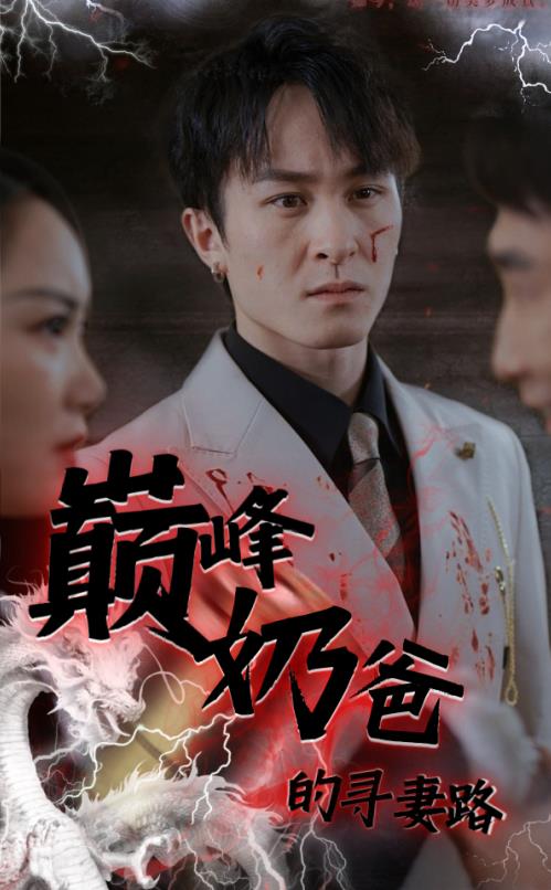 电影：巅峰奶爸的寻妻路