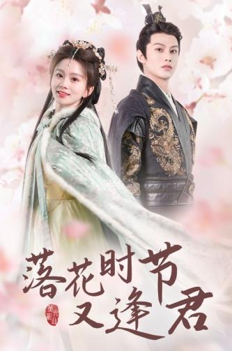 电影：落花时节又逢君