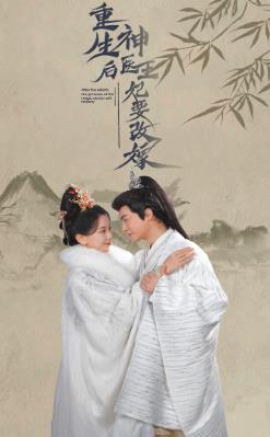 电影：重生后神医王妃要改嫁