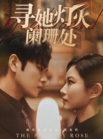 电影：寻她灯火阑珊处