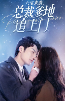 电影：六宝来袭总裁爹地追上门