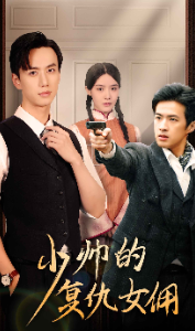 电影：少帅的复仇女佣