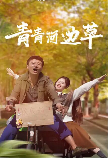电影:青青河边草2024