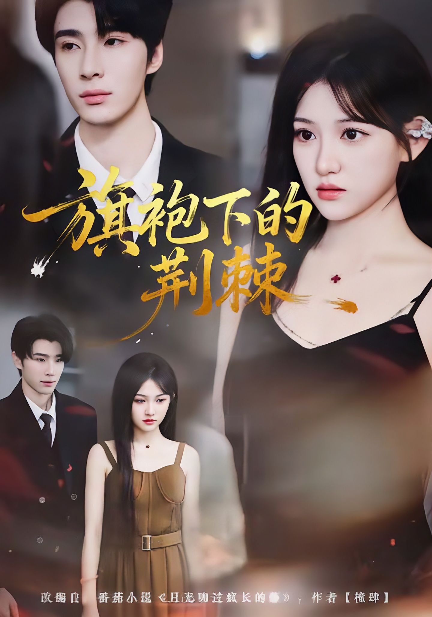 电影：旗袍下的荆棘