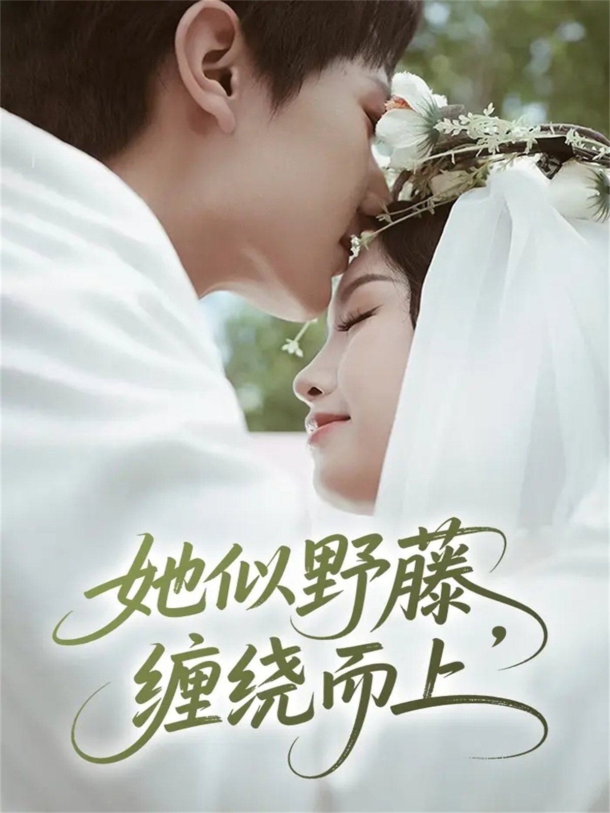 电影：她似野藤，缠绕而上