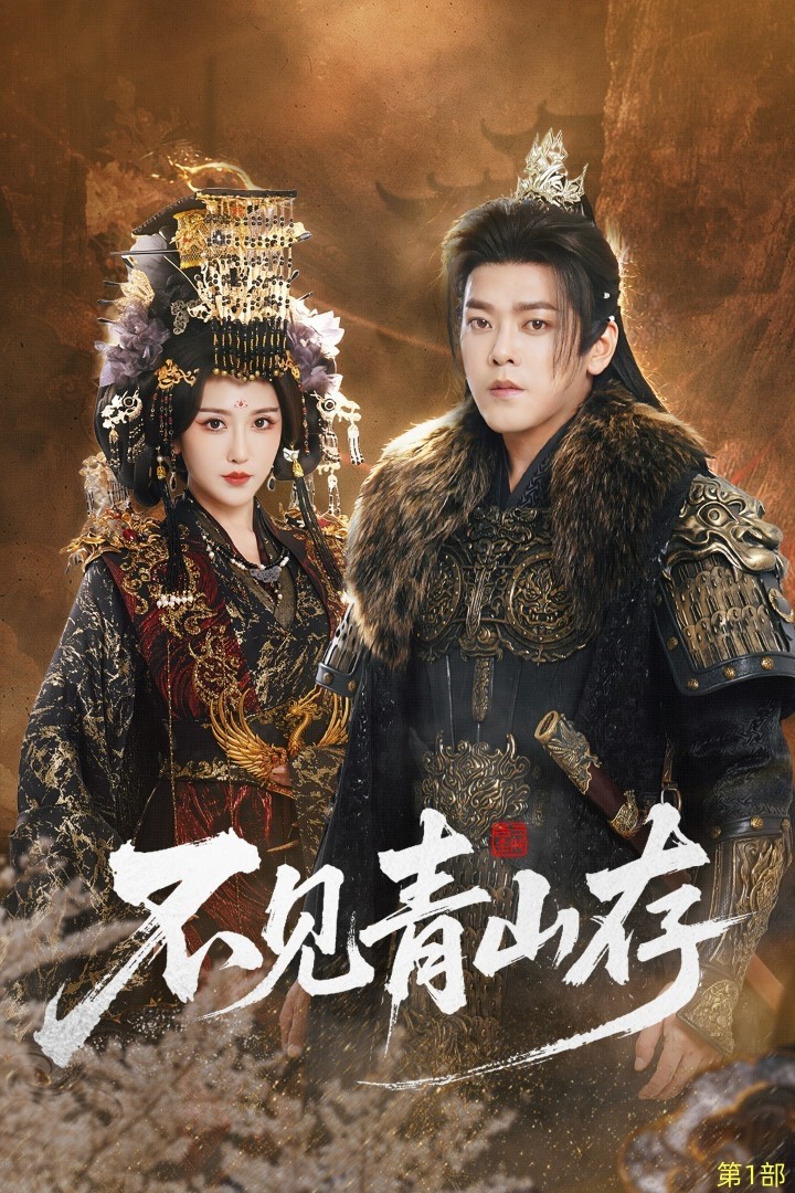 电影：不见青山存