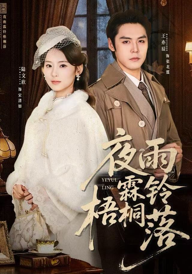 电影：夜雨霖铃梧桐落