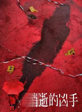 电影：消失的凶手2026