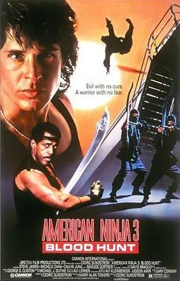 电影：美国忍者3：浴血追凶