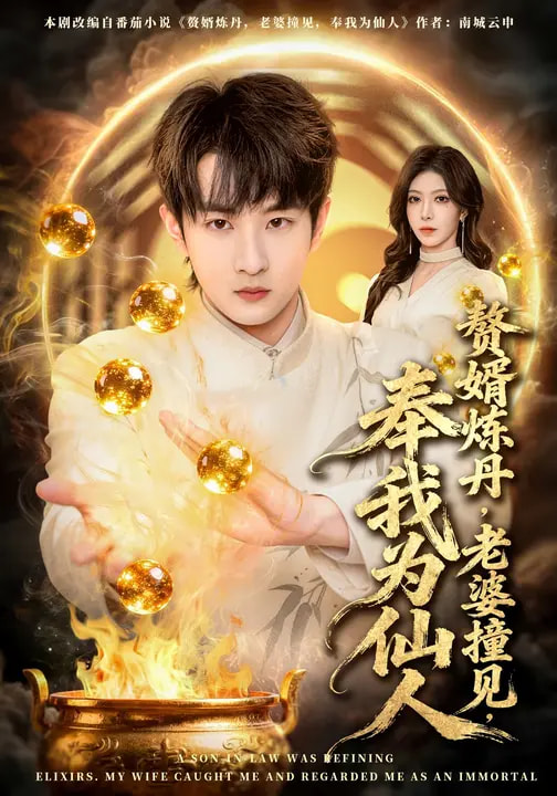 电影:赘婿炼丹,老婆撞见,奉我为仙人
