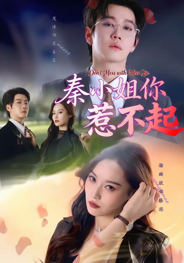 电影：秦小姐你惹不起