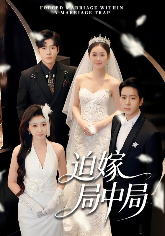 电影：迫嫁局中局
