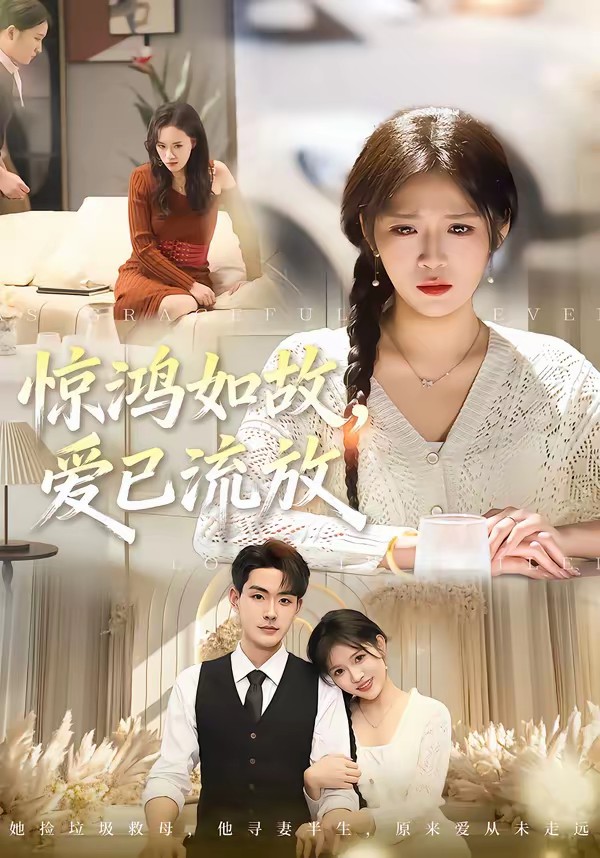 电影：惊鸿如故，爱已流放