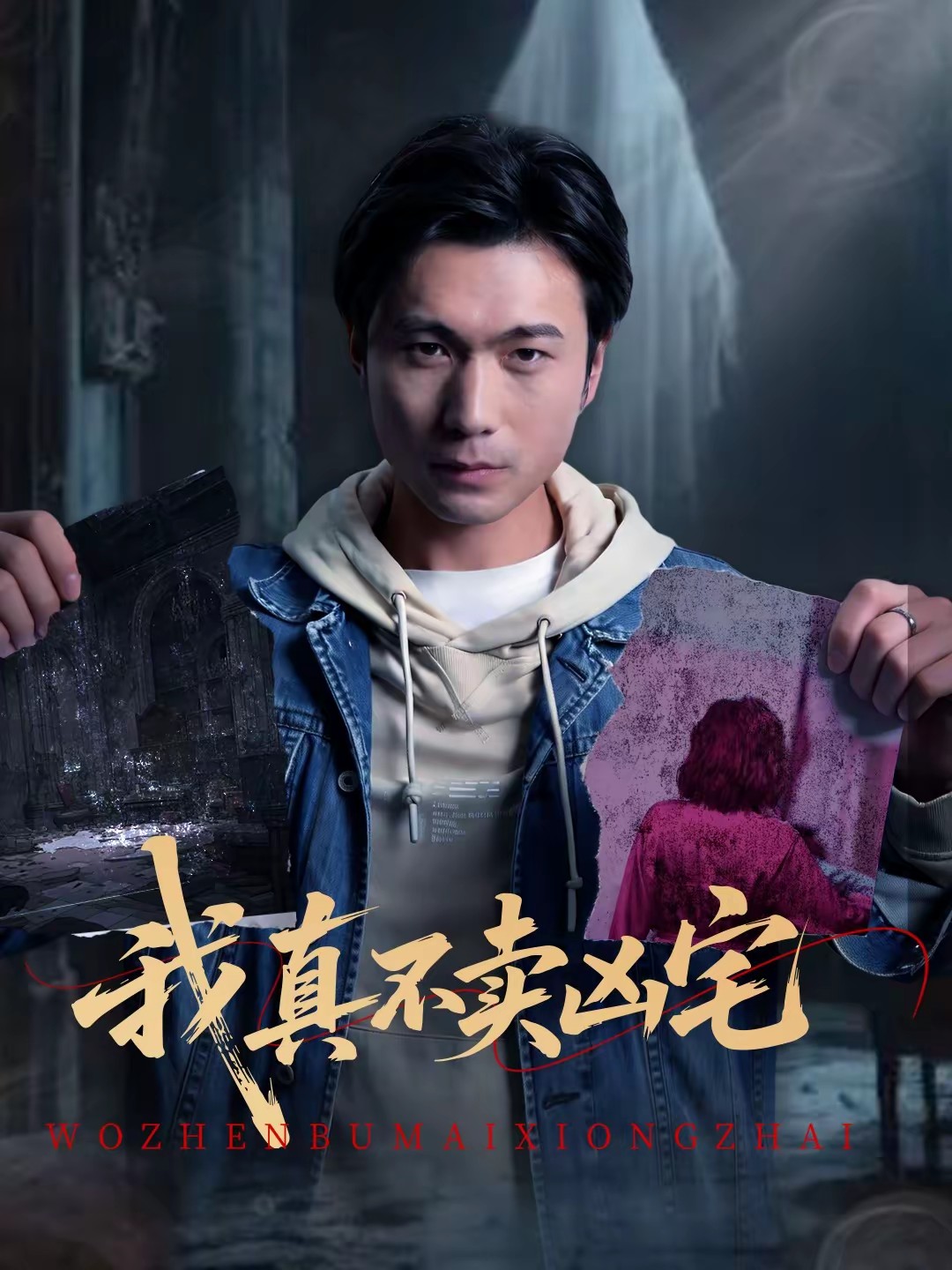 电影：我真不卖凶宅