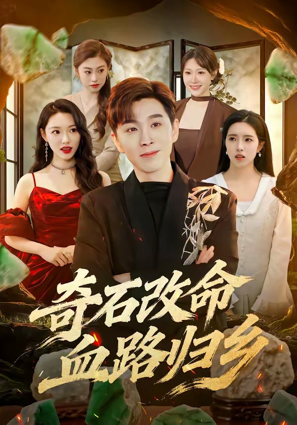 电影：奇石改命血路归乡