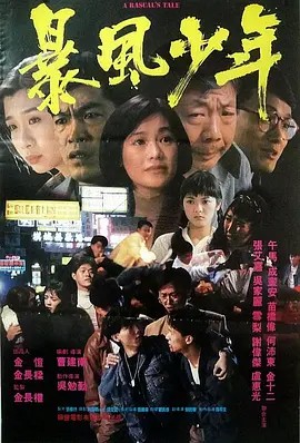 电影：暴风少年