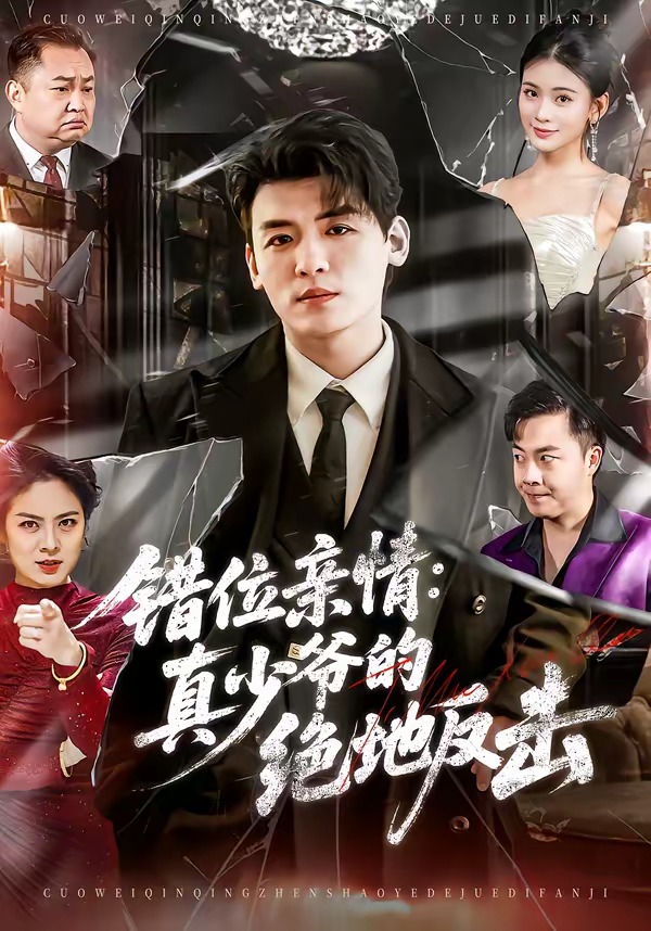 电影：错位亲情：真少爷的绝地反击