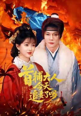 电影：首辅大人今天追妻了吗