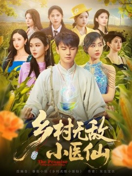 电影：乡村无敌小医仙