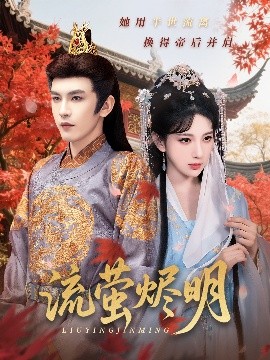 电影：流萤烬明