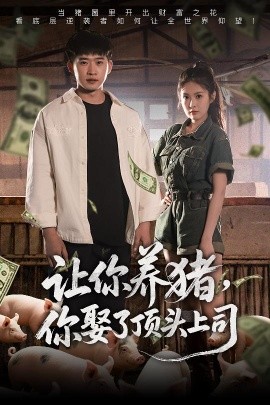 电影：让你养猪，你娶了顶头上司