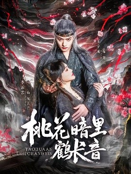 电影：桃花暗里鹤长音