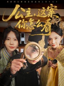 电影：公主，这案你怎么看