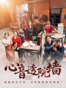 电影：心音透院墙