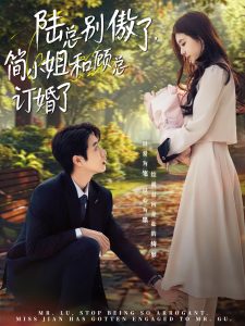 电影：陆总别傲了，简小姐和顾总订婚了