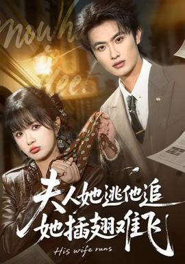 电影：夫人她逃他追，她插翅难飞