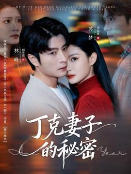 电影：丁克妻子的秘密