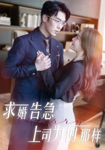 电影：求婚告急上司为何那样