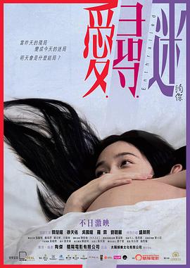 电影：爱寻迷粤语