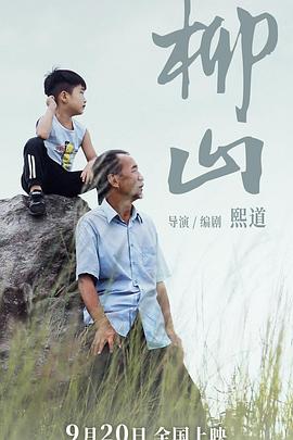 电影：柳山